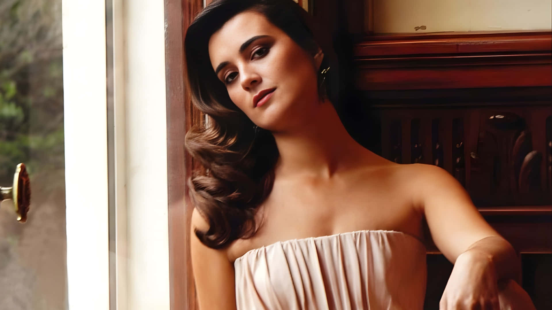 Cote De Pablo Taustakuva