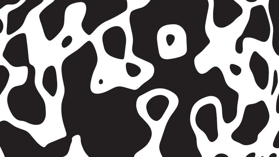 Black and white abstract pattern with flowing organic shapes. — Cow Print Aesthetic Wallpaper