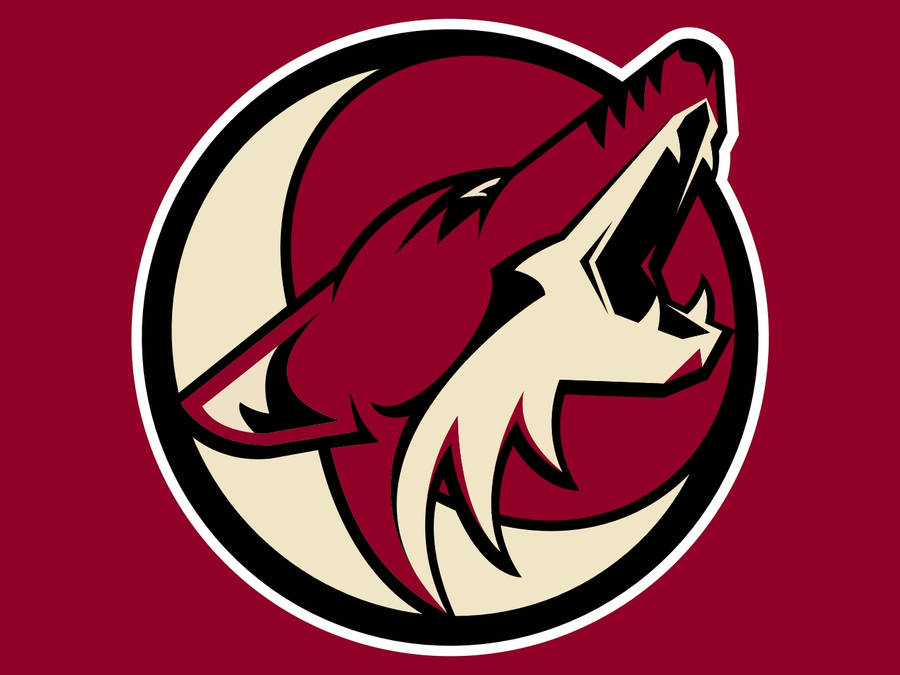 Coyotes Pictures Wallpaper
