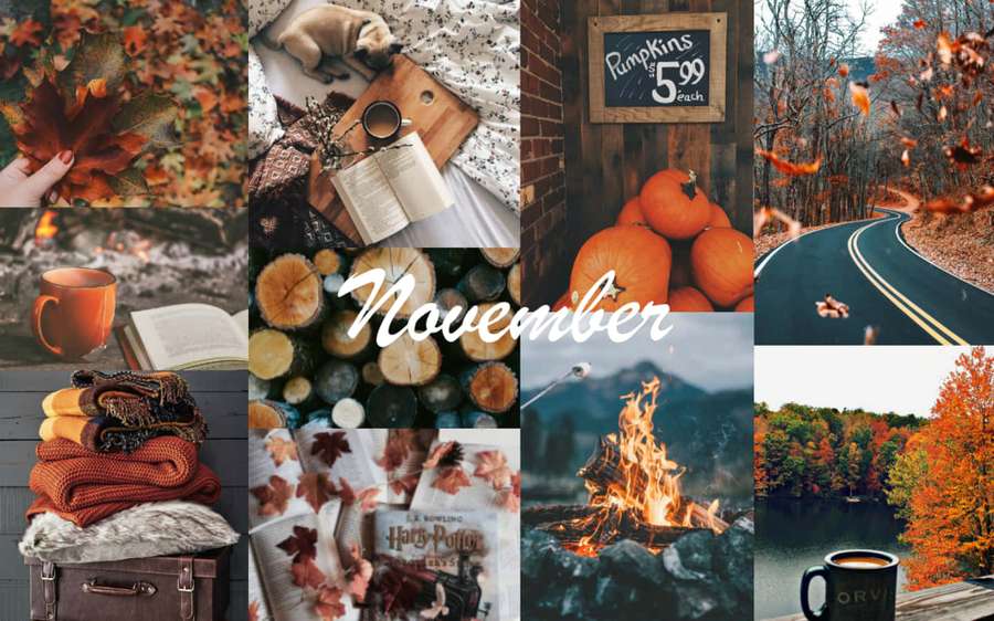 Autumn-themed collage with pumpkins fire leaves books and warm drinks. — Cozy Fall Desktop Wallpaper