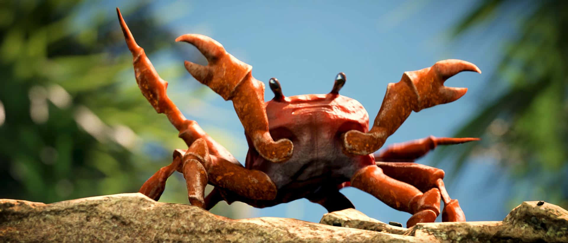 Crab Background Wallpaper