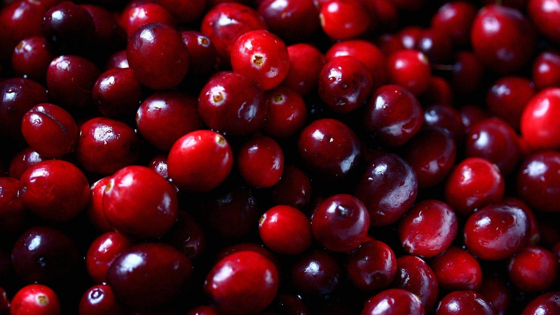 Cranberry Hintergrund