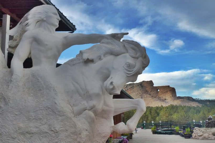 Crazy Horse Bilder