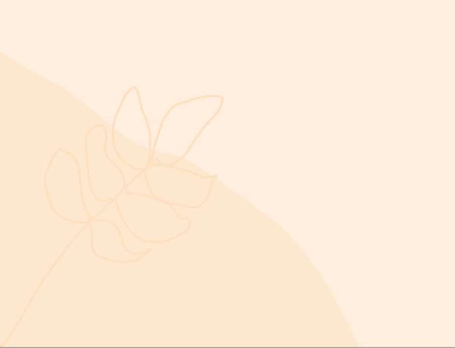 A delicate leaf outline in peach on a soft gradient background. — Cream Background