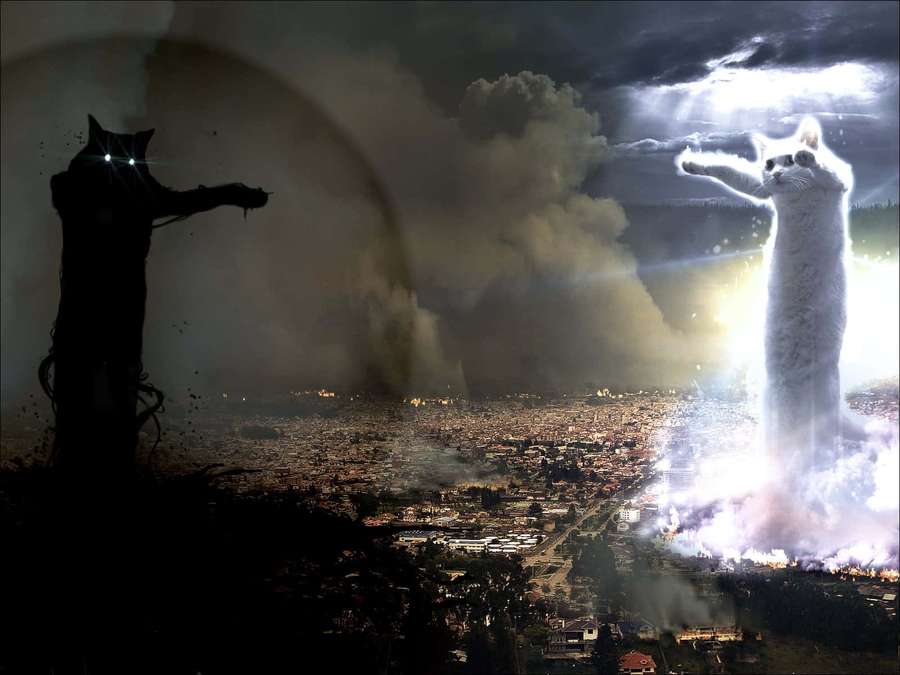 Two giant cats—one glowing white, one dark silhouette—face each other over a city under storm clouds. — Creativity Memes Wallpaper