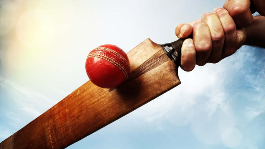 Cricket Bakgrund