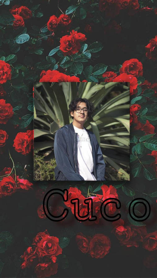 Cuco supreme art boy day famous indie man music tonight well HD  phone wallpaper  Peakpx