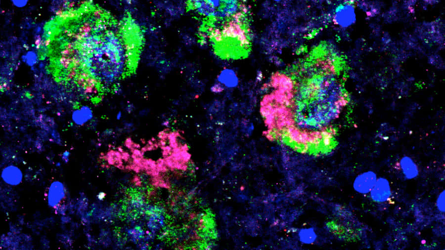 Culpable Fondo de pantalla