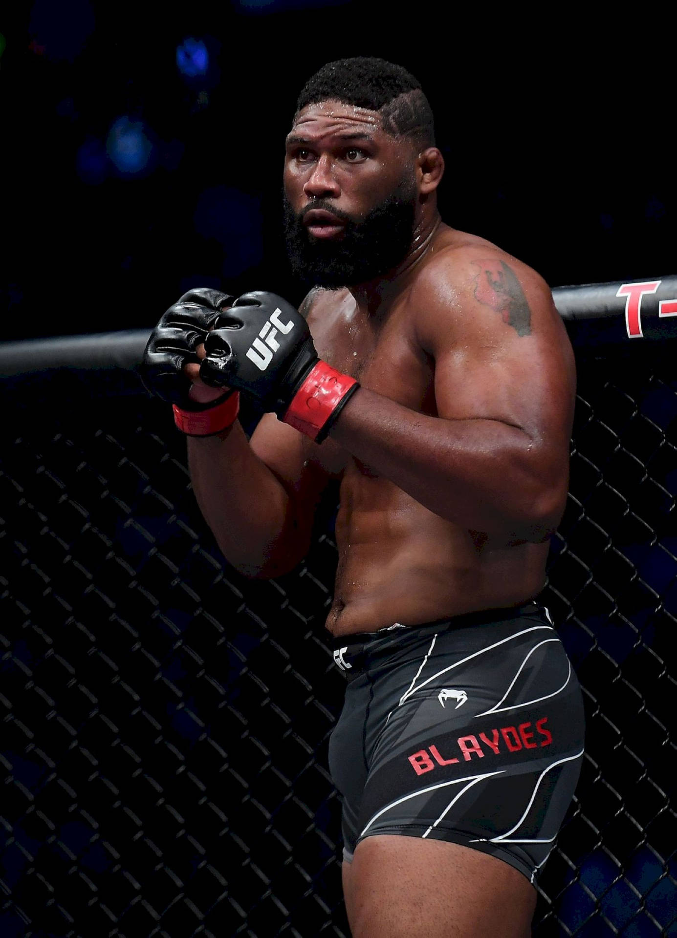 Curtis Blaydes Fond d'écran