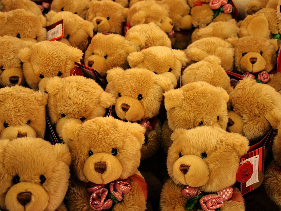 Rows of identical teddy bears with pink rose bows in a retail display. — Cute Brown Bear Background