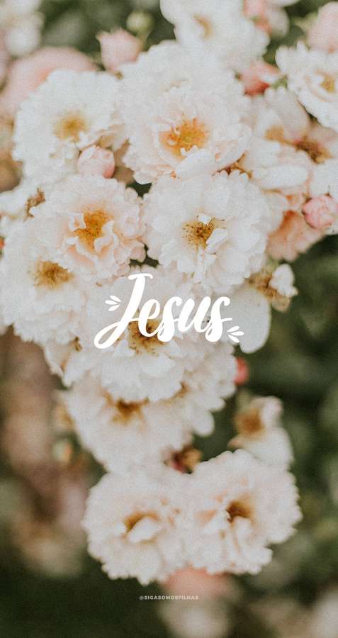 White and pink blossoms with 'Jesus' in cursive script for a peaceful religious background. — Cute Jesus Wallpaper