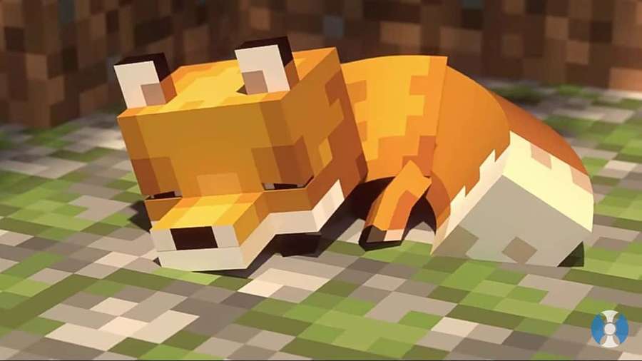 A pixelated fox sleeping on a grassy path in a blocky game world. — Cute Minecraft Background