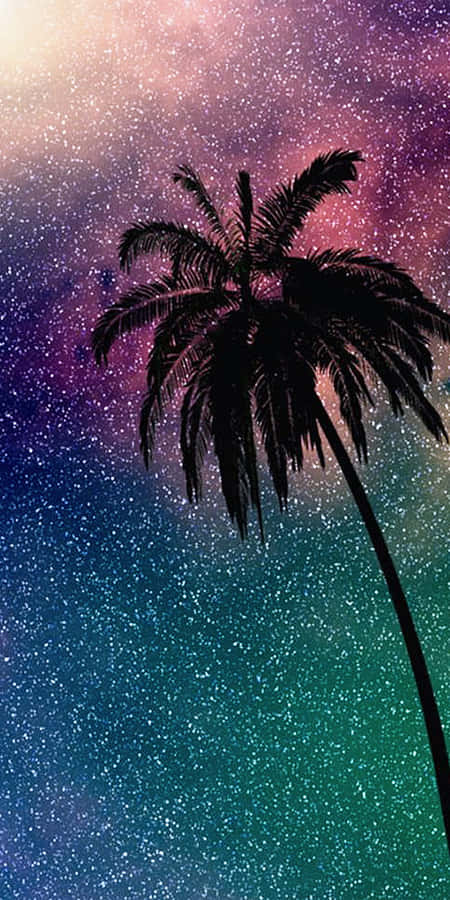 Cute Palm Tree Background Wallpaper