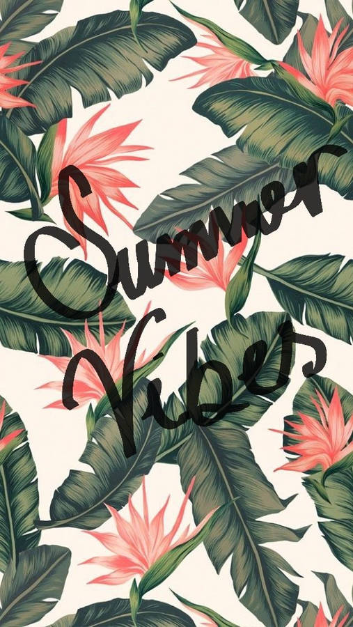 Cute Summer Background Wallpaper