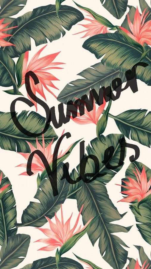 Tropische Blätter und rosa Blumen mit dem Text 'Summer Vibes'. — Cute Summer Wallpaper