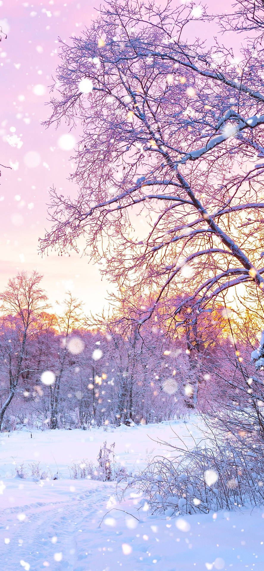 Cute Winter Iphone Background Wallpaper