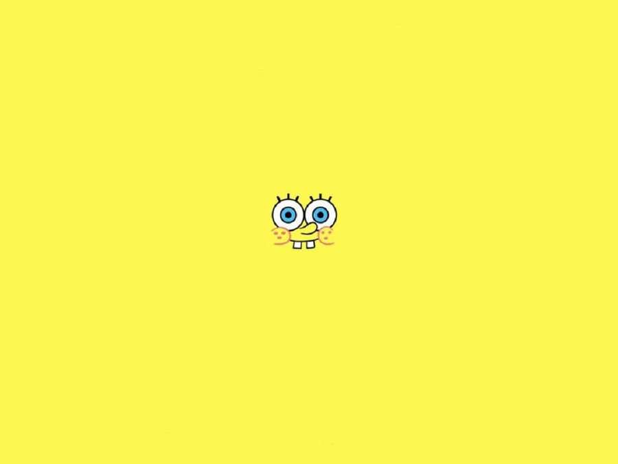 A small yellow cartoon sponge with big eyes and a smile on a yellow background. — Cute Yellow Background