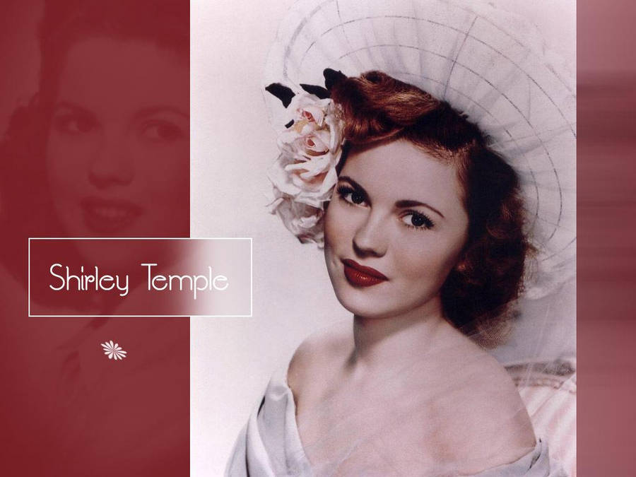 Free Shirley Background Photos, [100+] Shirley Background for FREE |  
