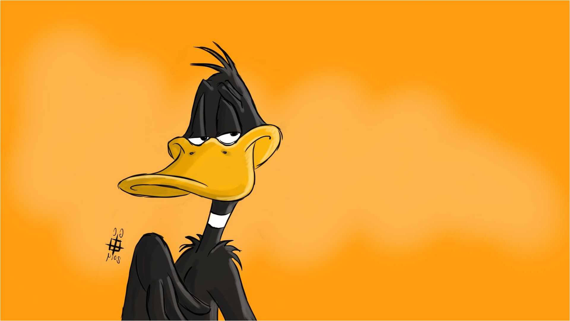 Daffy And Wallpaper
