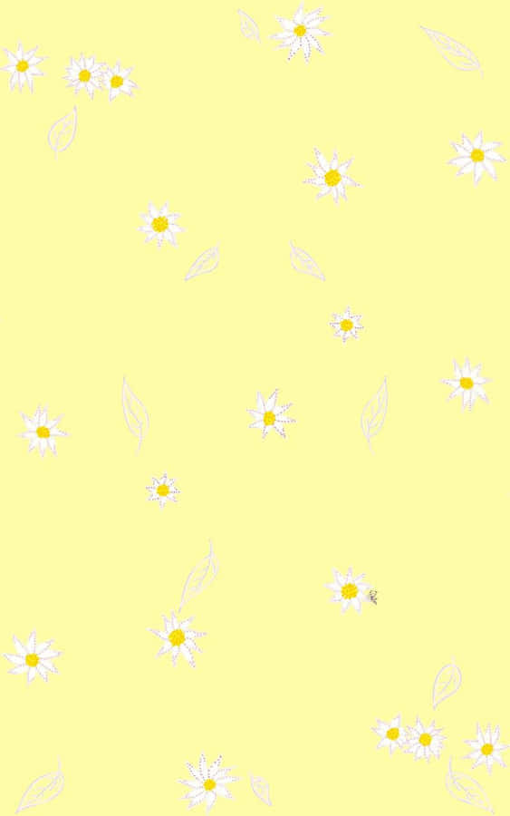 Daisy Imut Wallpaper