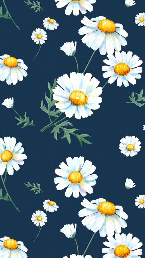 Daisy Iphone Achtergrond