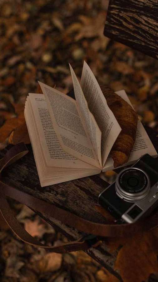 Open book croissant and camera on wooden surface with autumn leaves — Dark Brown Aesthetic Wallpaper