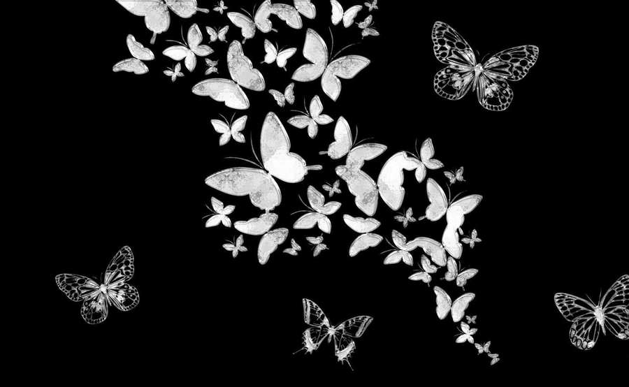 Silver butterflies gracefully flying against a black background. — Dark Butterfly Wallpaper