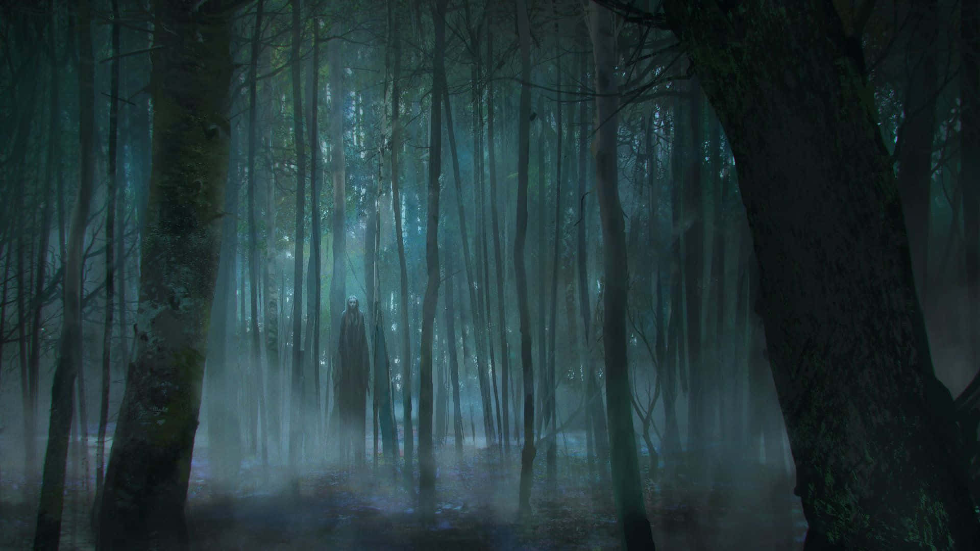 Dark Forest Background Wallpaper