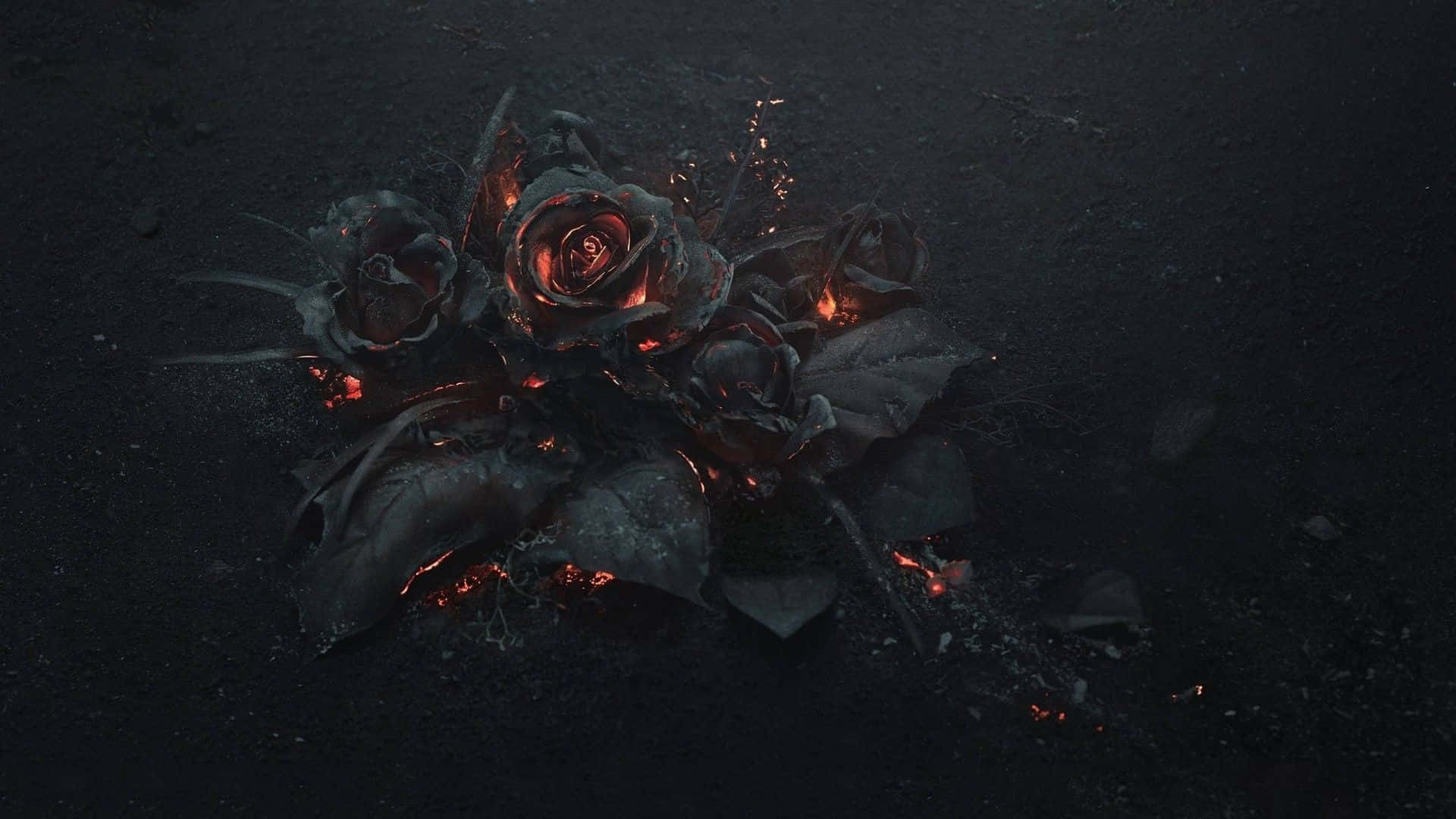 Verbrannte Rosen glühen mit Glut auf einer dunklen Oberfläche. — Dark Goth Aesthetic Wallpaper