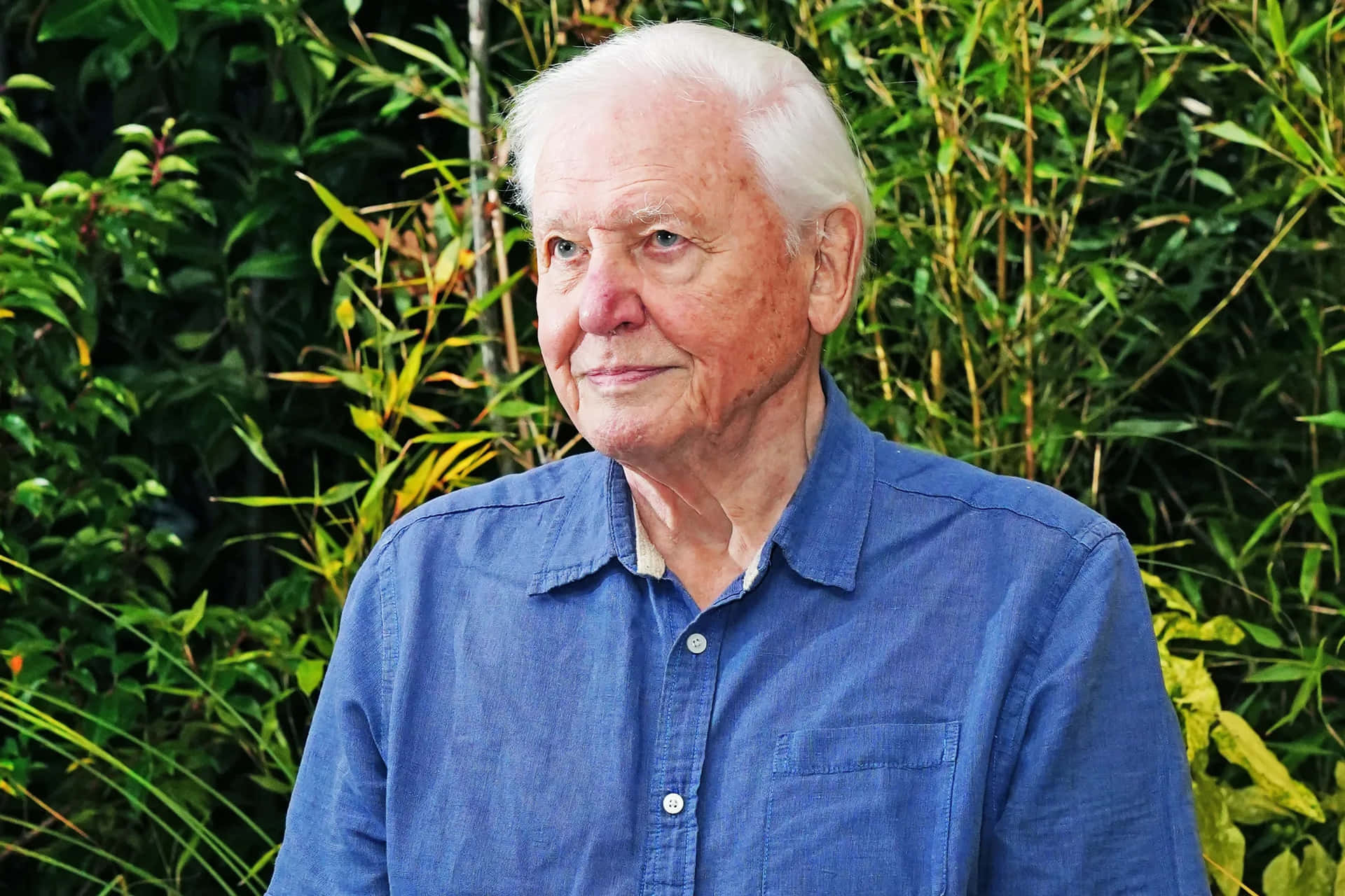 David Attenborough Achtergrond