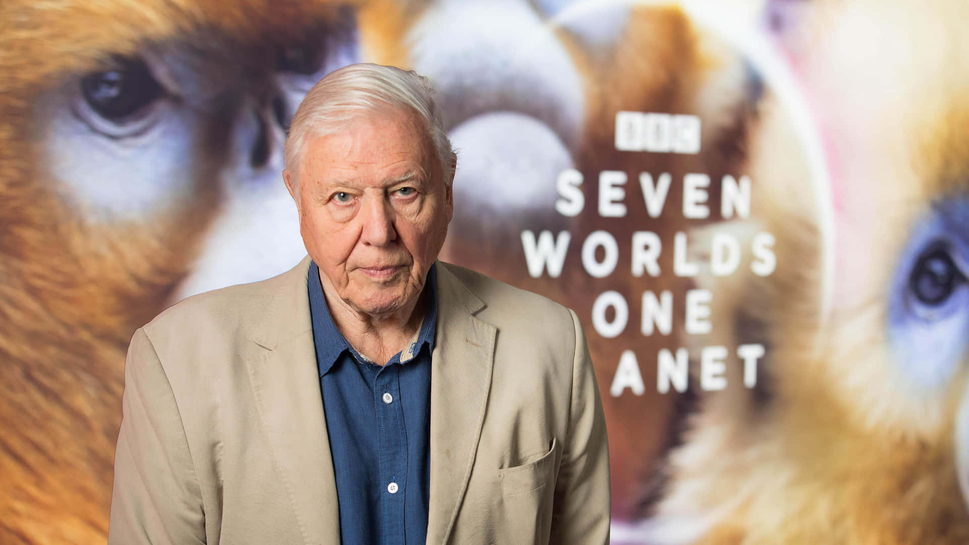 David Attenborough Bakgrunnsbildet