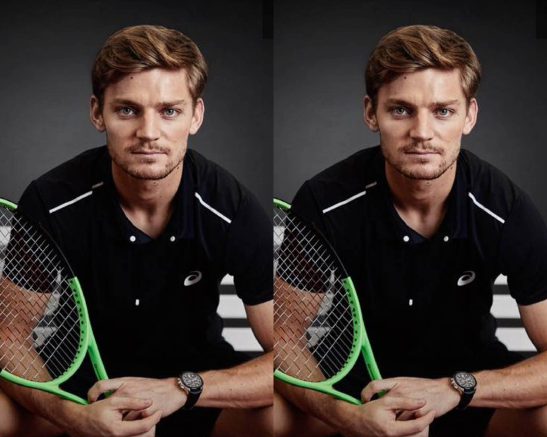 David Goffin Taustakuva