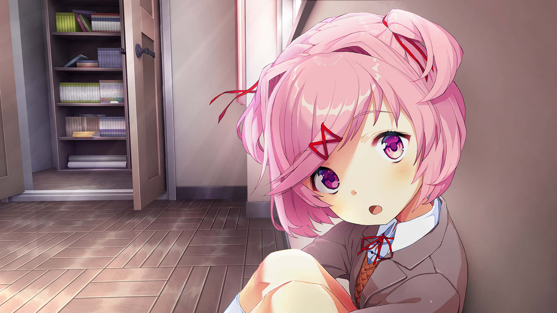 Ddlc Achtergrond