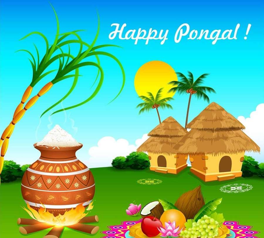 Happy Pongal festival scene with pot, sugarcane, palm trees, and offerings under a bright sun. — Deco Background