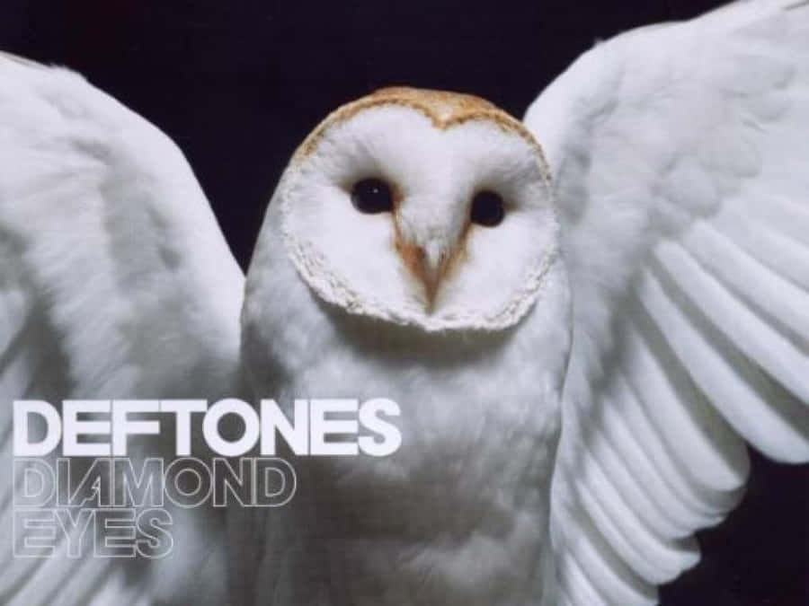 Deftones Hd Wallpaper