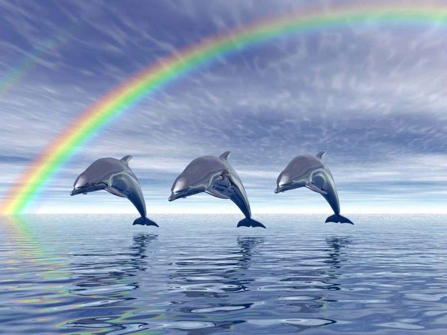 Tres delfines saltando del agua del océano bajo un arcoíris. — Delfín genial Fondo Fondos de pantalla