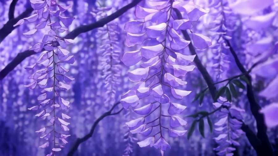 Purple wisteria flowers hanging from branches in a soft-focus garden scene. — Demon Slayer Scenery Wallpaper