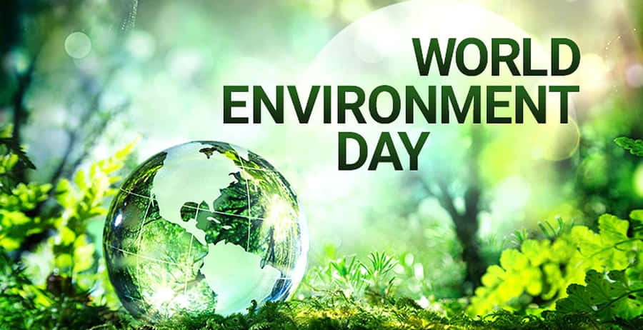 Día Mundial Del Medio Ambiente Fondo de pantalla