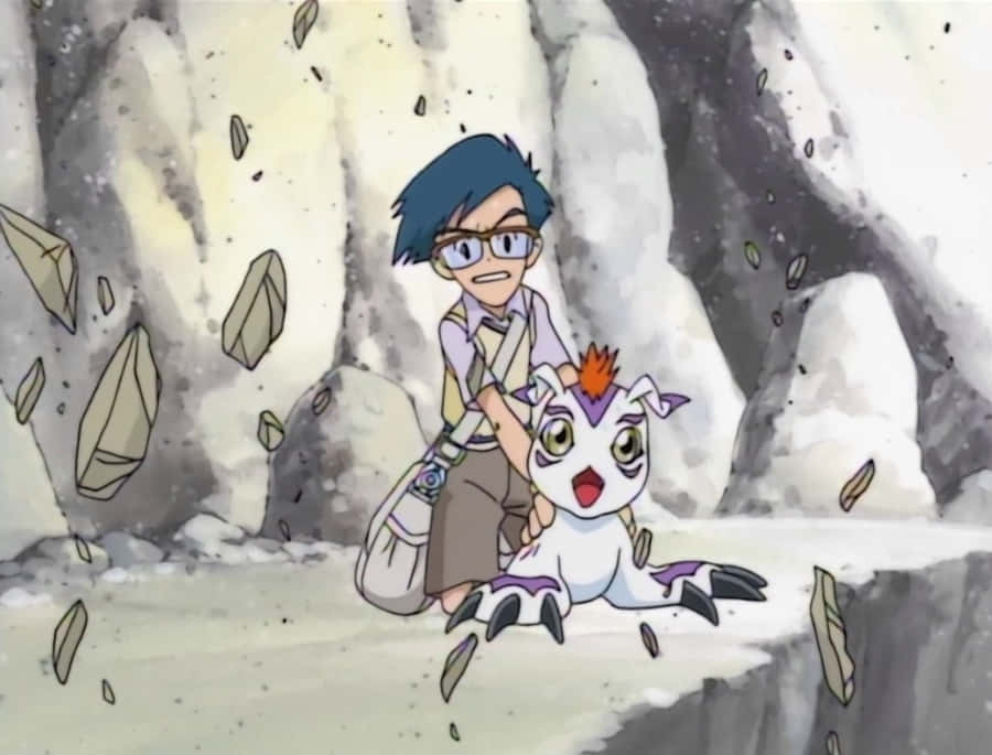 Digimon Gomamon Achtergrond