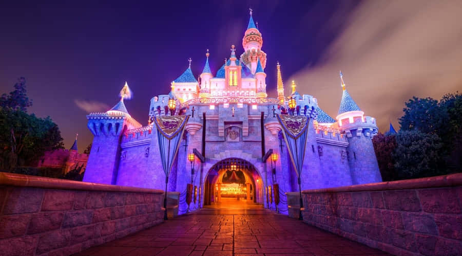 Disney Castle Bakgrund