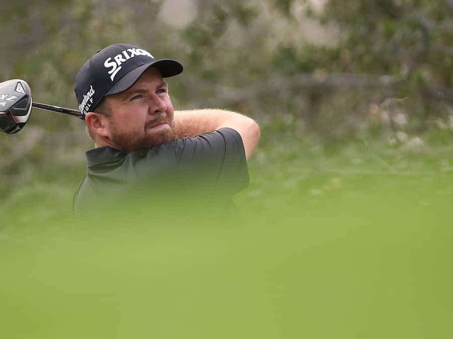 Golfspelare svingar klubba på gräsbana med träd bakom. — Trahan Bakgrundsbilder