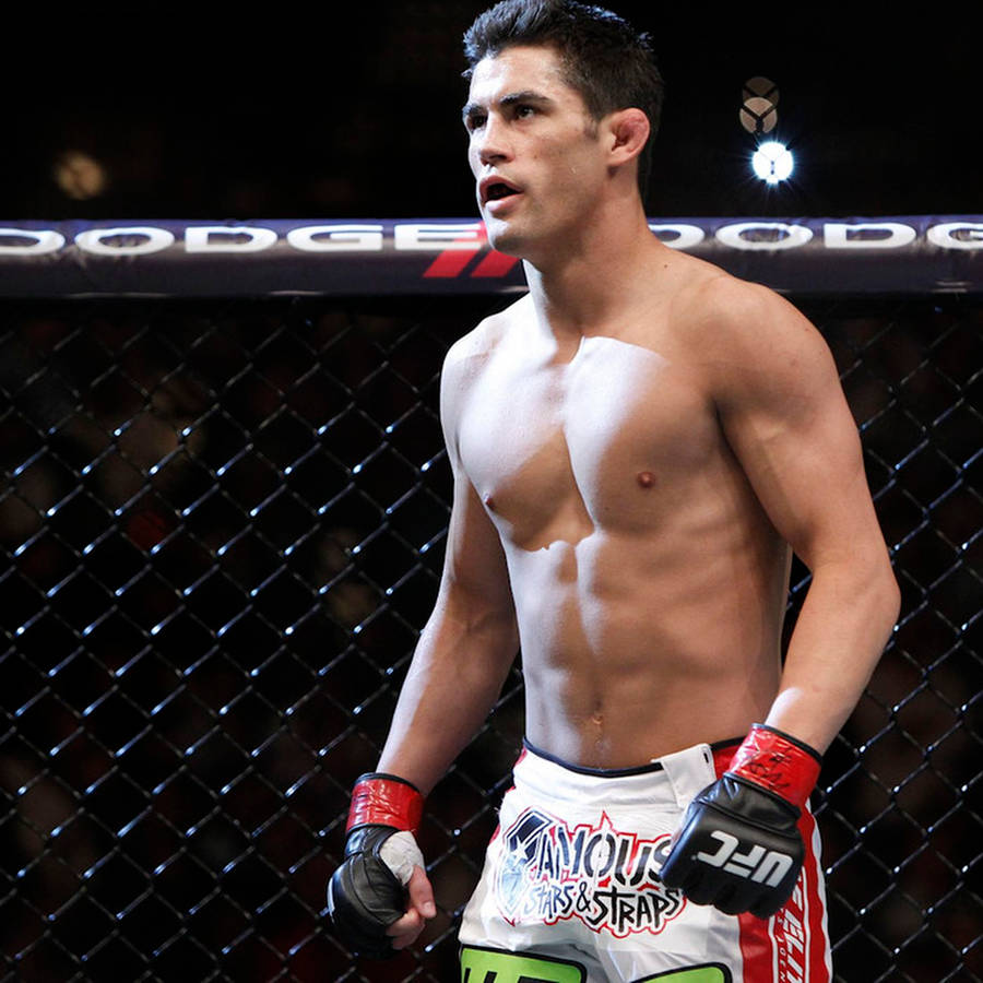 Dominick Cruz Bakgrunnsbildet