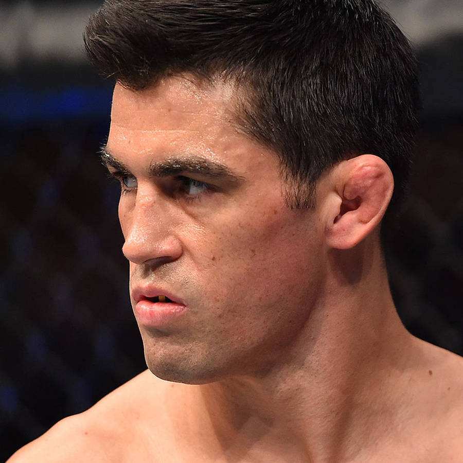 Dominick Cruz Wallpaper