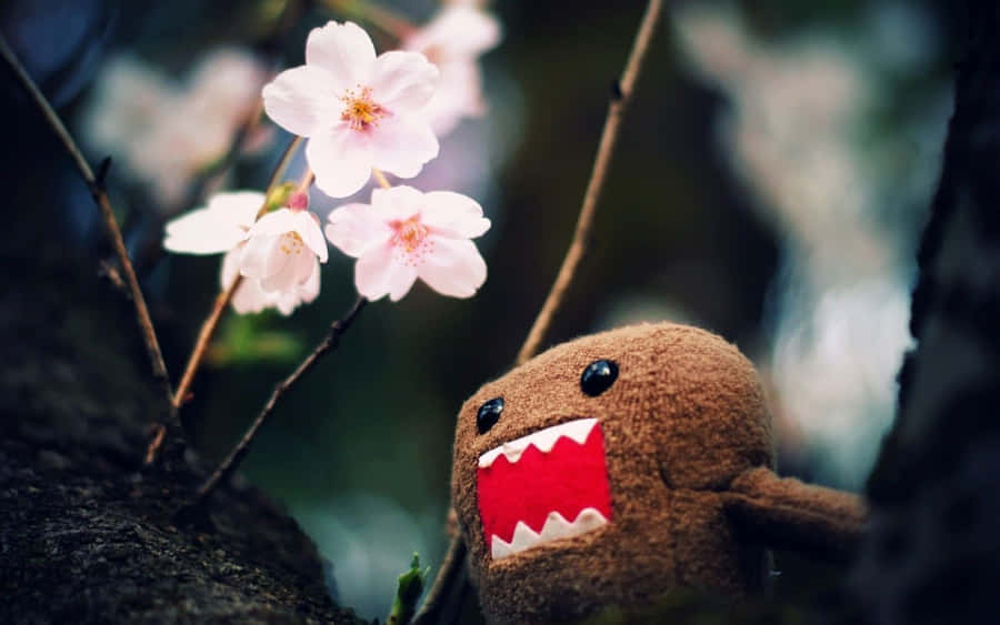 Domo Wallpaper