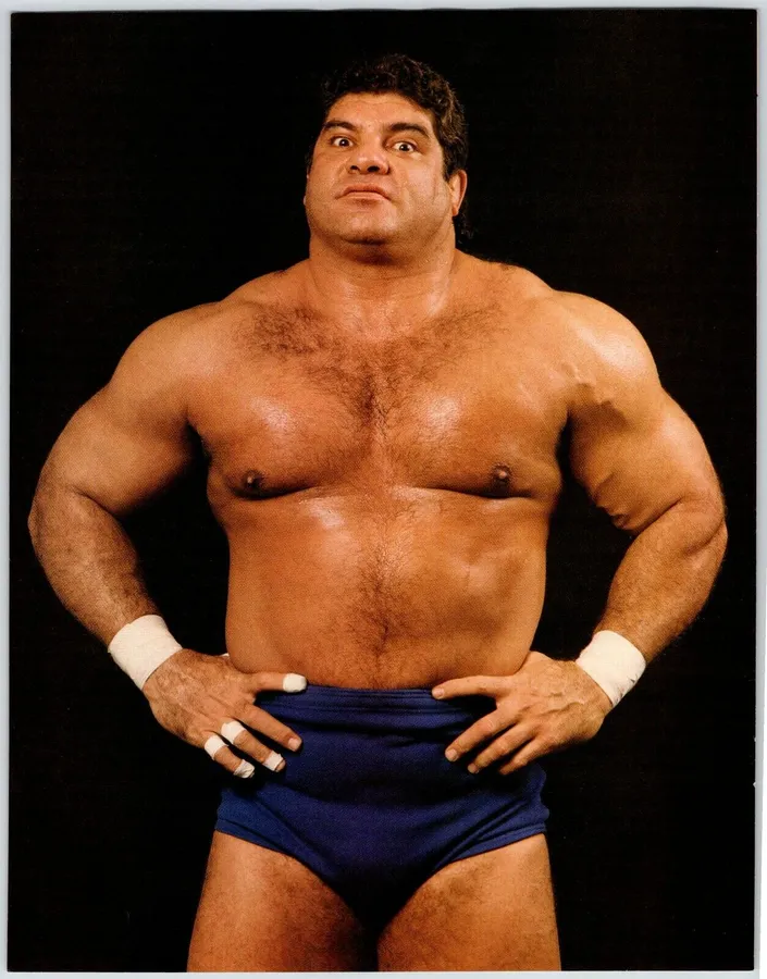 Don Muraco Wallpapers