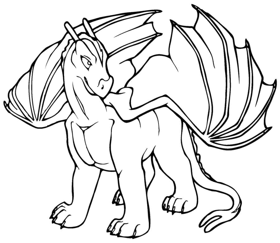 Dragon Coloring Pictures Wallpaper