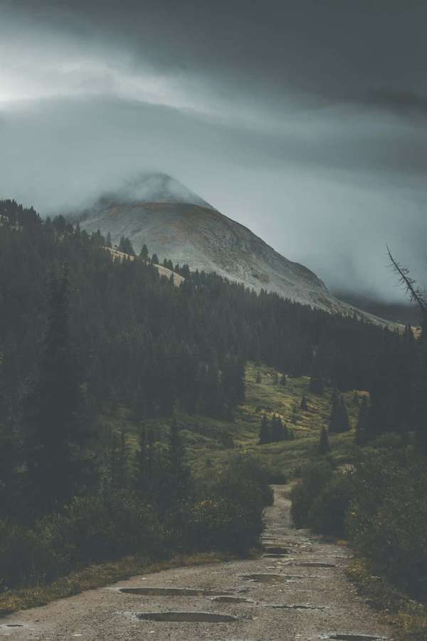 Gewundener Schotterweg durch nebligen Wald zu einem wolkenbedeckten Berg. — Draußen Hintergrundbild