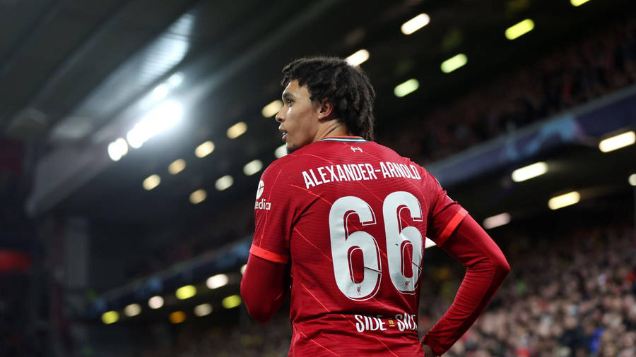 Dreadlocks Papel de Parede