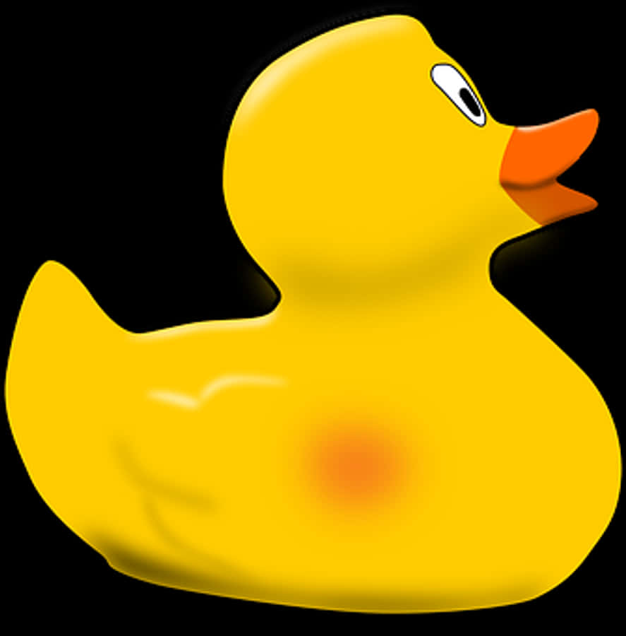 Duckling Png
