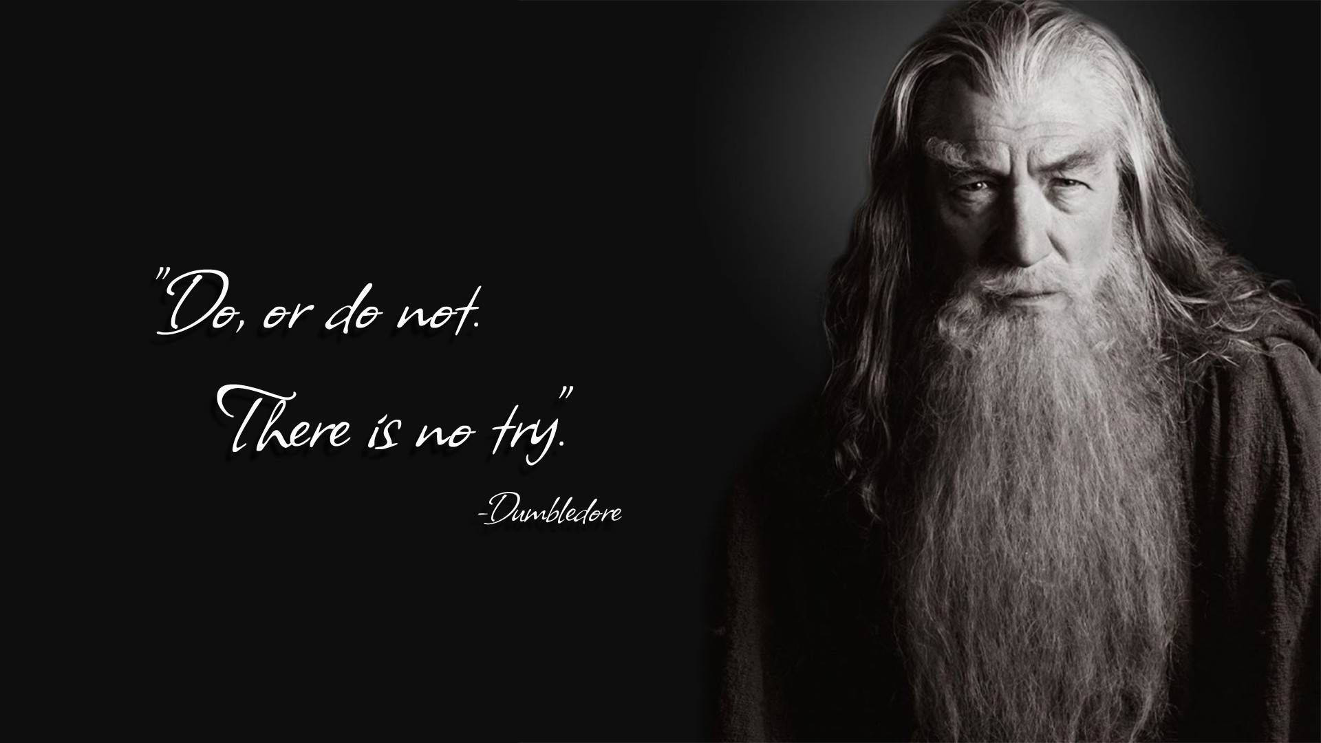 Dumbledore Bilder